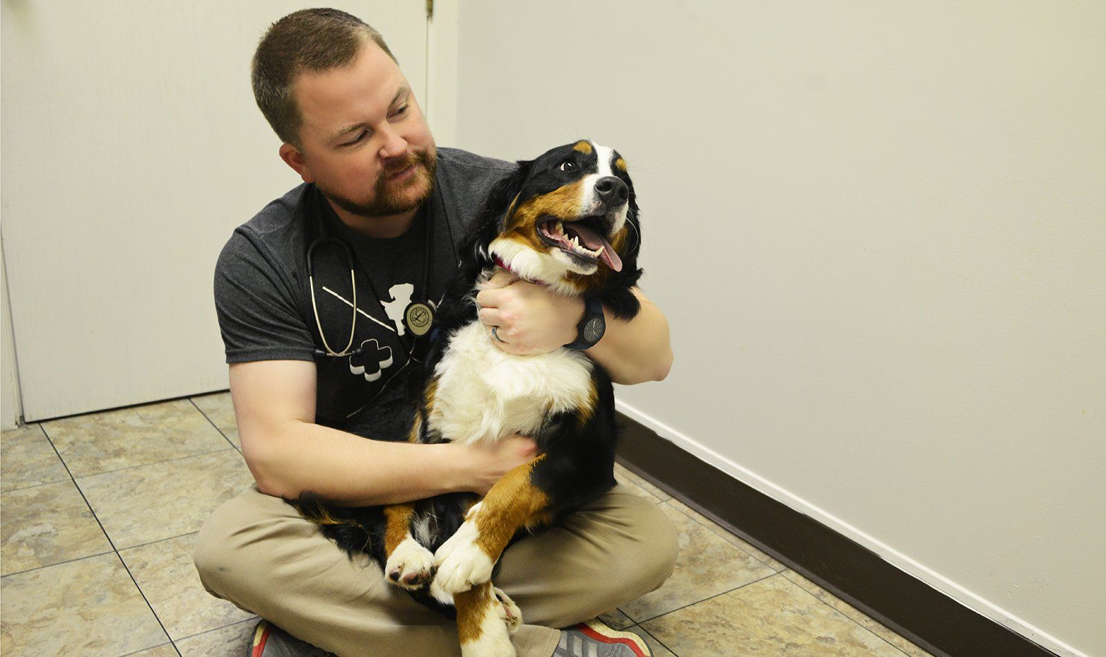 Taylor Animal hospital of Parkville